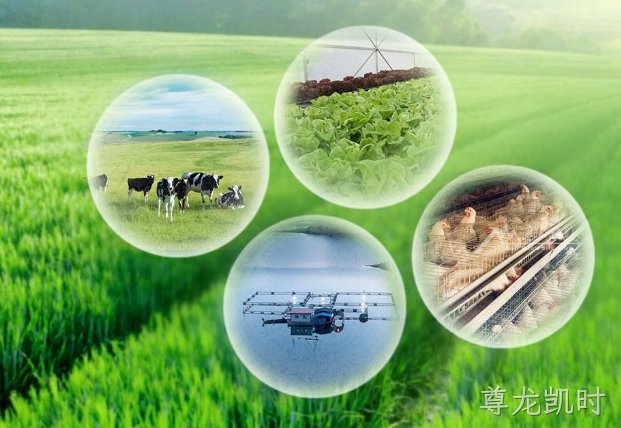 农业物联网智慧农业