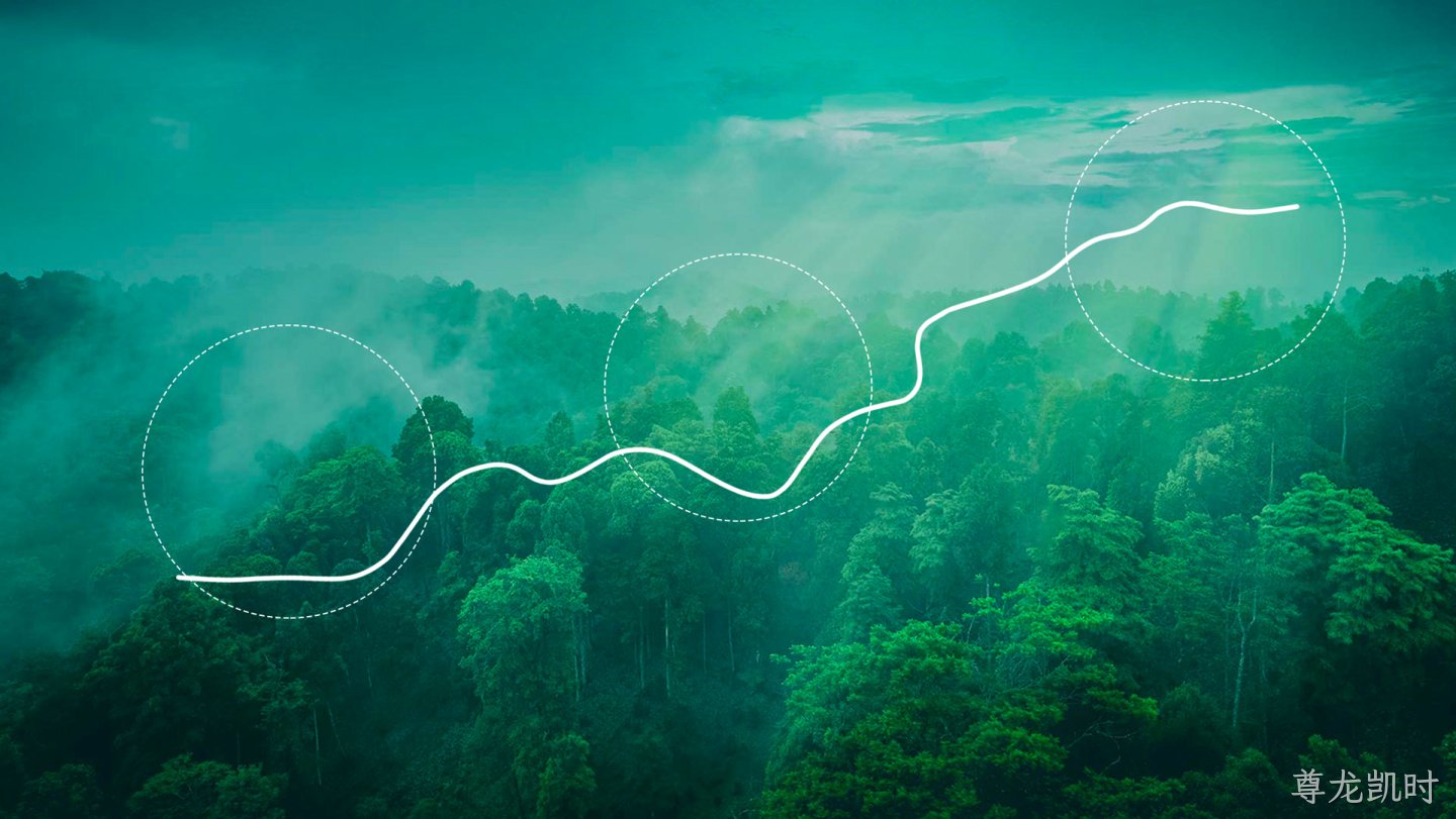 地图